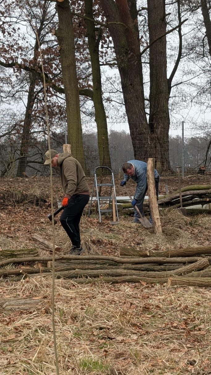 Sanierung des Beckenrandes