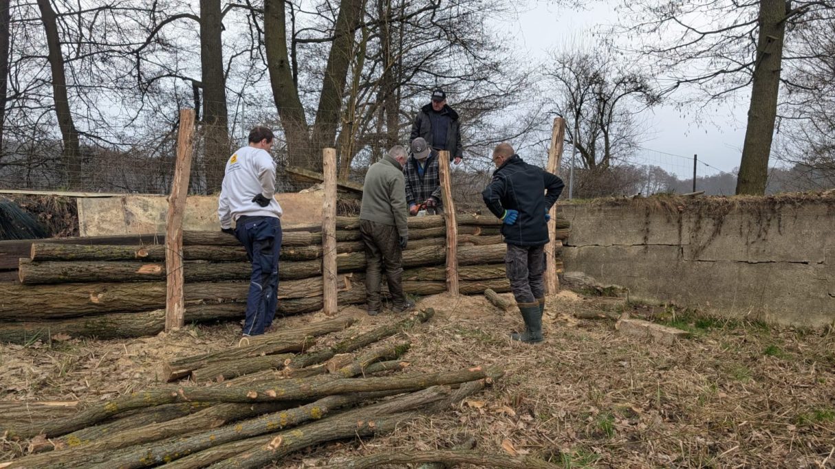 Verankerung der Uferbefestigung